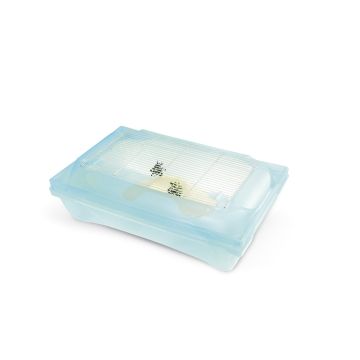 Terariu Kleo pentru testoase