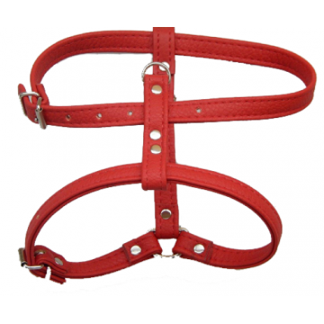 Ham caini, piele ecologica, reglabil, 24-42 cm x 12 mm