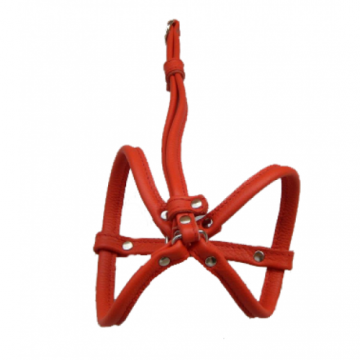 Ham pentru caini, tubular, reglabil, 12 mm x 35-45 cm