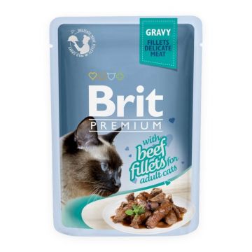 Brit Cat Delicate Beef in Gravy, 85 g ieftina