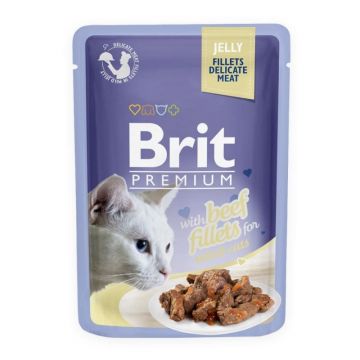 Brit Cat Delicate Beef in Jelly, 85 g ieftina