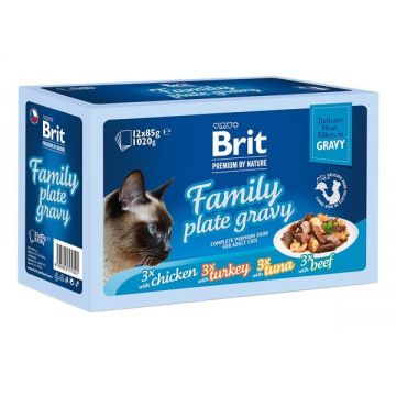 Brit Cat MPK Delicate Family plate in Gravy, 12 x 85 g