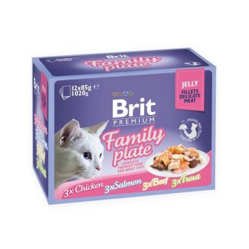 Brit Cat MPK Delicate Family plate in Jelly, 12 x 85 g