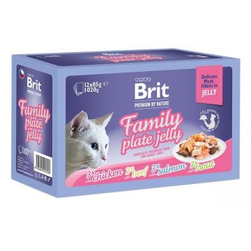 Brit Cat MPK Delicate Family plate in Jelly, 12 x 85 g