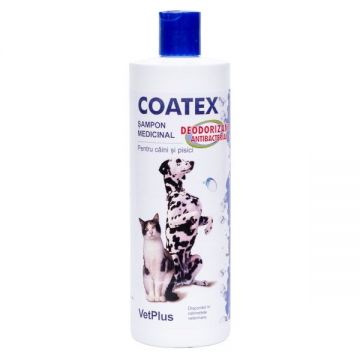 Coatex Sampon, 500 ml