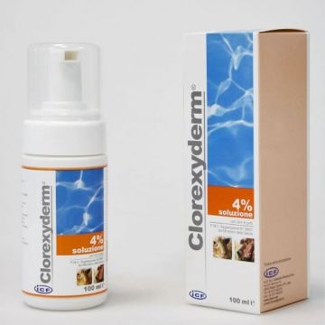 ICF CLOREXYDERM SPUMA 4%, 100 ml ieftin