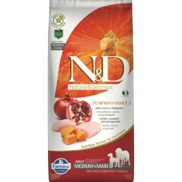 N&D Dog GF Pumpkin Chicken & Pomegranate Adult Medium Maxi, 12 kg