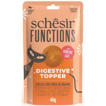Hrana umeda pentru pisici Schesir Function Topper, Digestion, cu Dovleac/Iarbă de grâu 40 gr