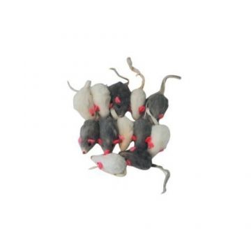 Jucarie Soricel Plus