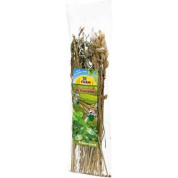 Mix de ierburi pentru rozatoare Jr Farm Snack 80 g
