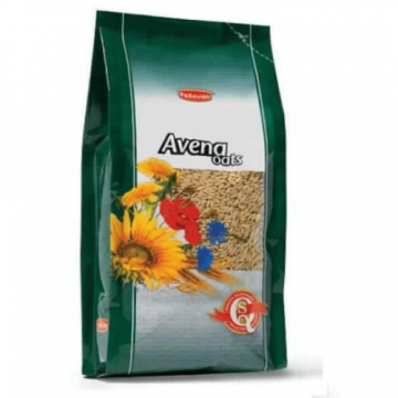 Ovaz Decorticat Avena Pasari 20Kg