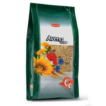 Padovan Avena Ovaz Decorticat 1 Kg