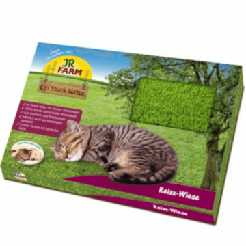 Pajiste relaxanta pentru pisici Catnip JR FARM