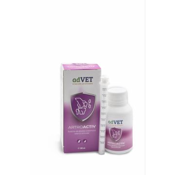 Artroactiv, solutie orala pentru caini si pisici, 100 ml