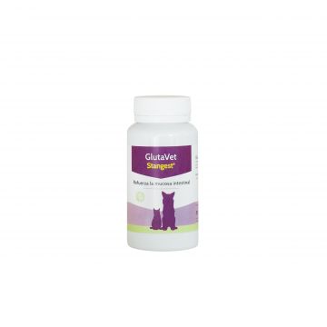 Glutavet, STANGEST, 60 Tablete