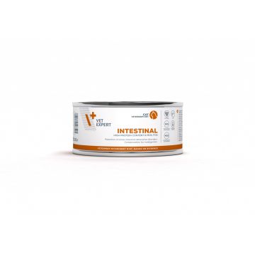 Hrana dietetica pentru pisici cu afectiuni intestinale Vet Expert Intestinal Cat, conserva, 100 g