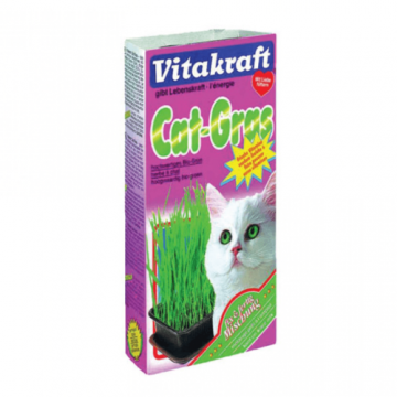 Iarba pisicii Vitakraft 120gr