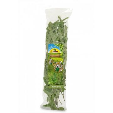 Recompensa pentru rozatoare Jr Farm ramuri fag 40 g