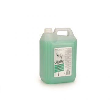Sampon pentru caini Gottlieb cu parfum de pin 5L