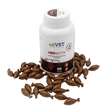 Supliment hepatic pentru caini si pisici HepActiv, 60 capsule