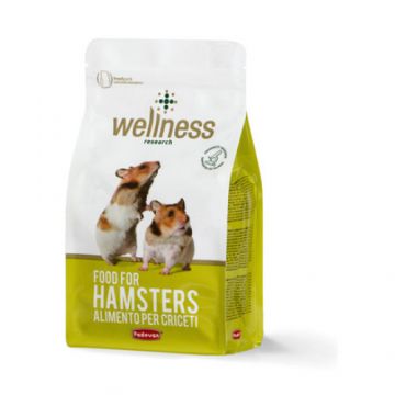 Wellness Hamsteri 1 kg