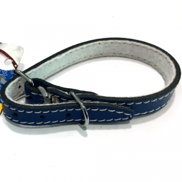 Zgarda din piele, albastra, rezistenta, 14 mm x 400 mm