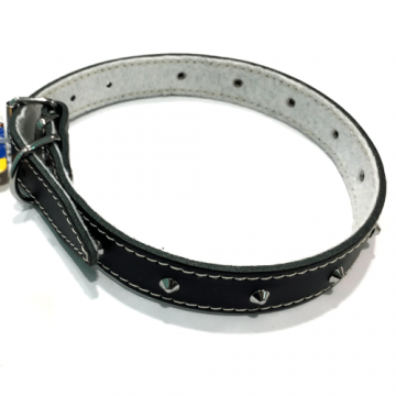 Zgarda din piele, neagra, cu tinte, 22 mm x 550 mm