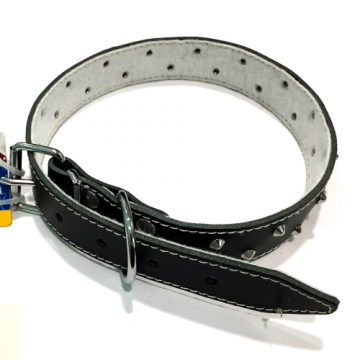 Zgarda din piele, neagra, cu tinte, 30 mm x 640 mm