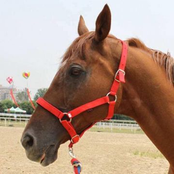 Capastru echitatie 4 cm/nr 2