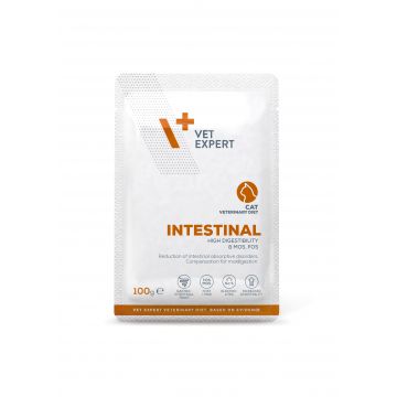 Hrana dietetica pentru pisici cu afectiuni gastrointestinale si malabsobtie Vet Expert Intestinal Cat, 100g