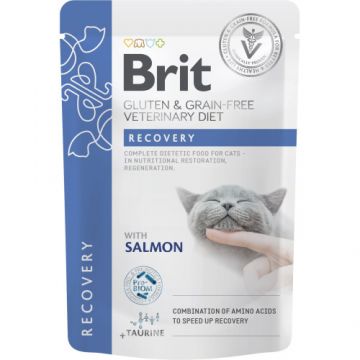 Hrana umeda pentru pisici plic Brit Grain Free Recovery pentru recuperare, refacere nutritiva 85 gr
