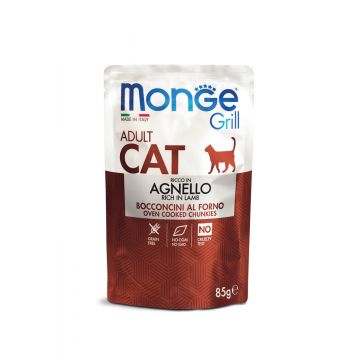 Monge Grill Chunkies Cat - Hrana umeda super-premium - Miel - 100g