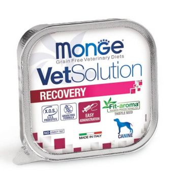 Monge VetSolution Recovery - 150g