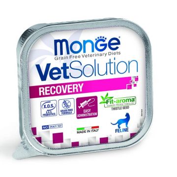 Monge VetSolution Recovery Feline - 100g
