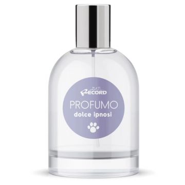 Parfum Dolce Ipnosi 100 ml