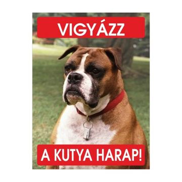 Placuta Boxer Bilingva