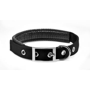 Zgarda textila, neagra, captusita, 25 mm x 55 cm, pentru caini de talie mare