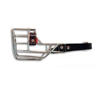 Botnita metalica Airedale terrier