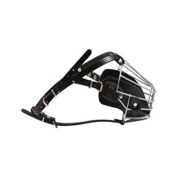 Botnita metalica Caucazian