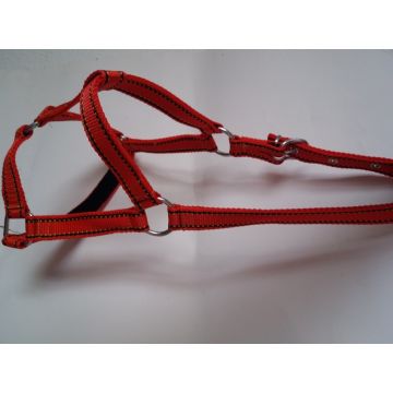 Capastru echitatie 3 cm/ponei