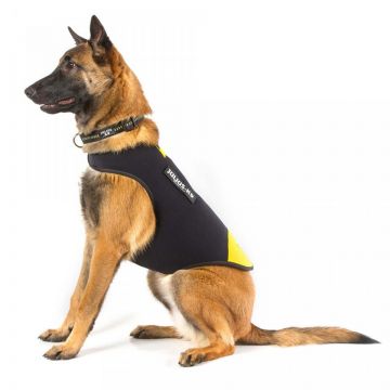 Vesta neopren Julius K9 - M - Galben