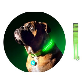 Zgarda caini, cu leduri luminoase, rezistenta la rupere, 33-47 cm