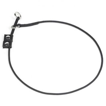 Zgarda dresaj Julius-K9 0,35 x 70 cm