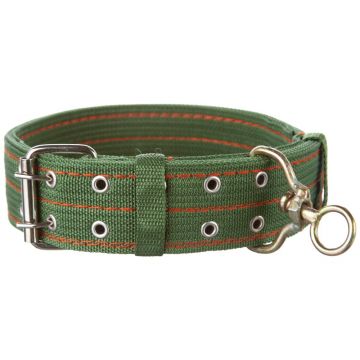 Zgarda textila, verde, rezistenta, 50 mm x 80 cm, pentru caini de talie mare