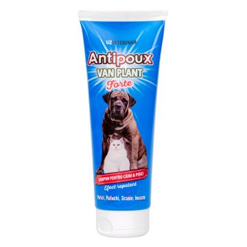 Sampon antipoux forte plant 250ml