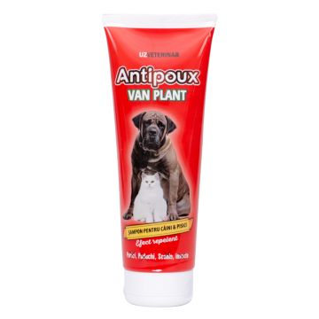 Sampon antipoux plant 250ml