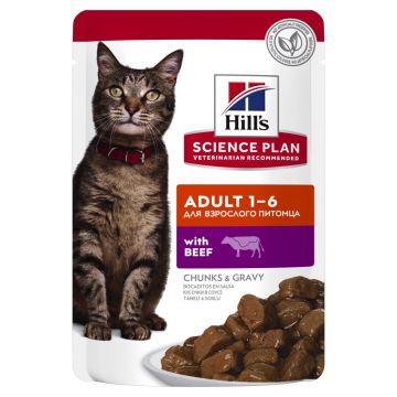 SP FELINE ADULT BEEF 12x85 G (PLICURI)