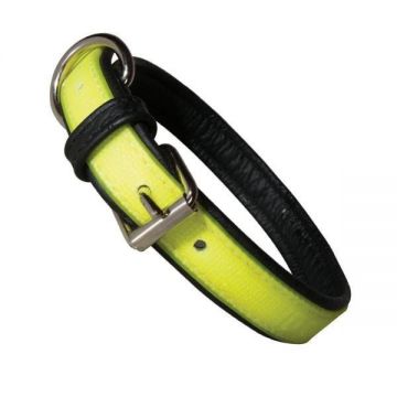 Zgarda K9 IDC Lumino - Fosforescenta - 70cm