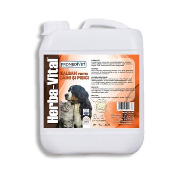 Balsam Herba Vital 5L
