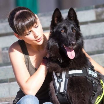 Curea Y pentru ham JK9, neagra, impermeabila, cu margini reflectorizante, marimea L, XL, 2XL